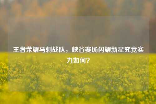 王者荣耀马刺战队，峡谷赛场闪耀新星究竟实力如何？