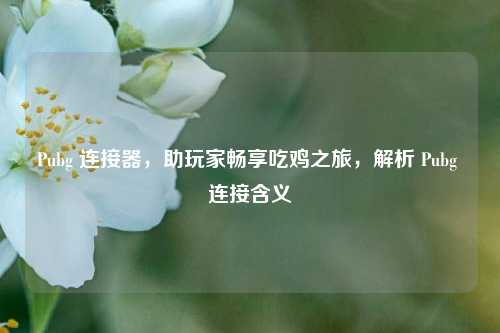Pubg 连接器，助玩家畅享吃鸡之旅，解析 Pubg 连接含义