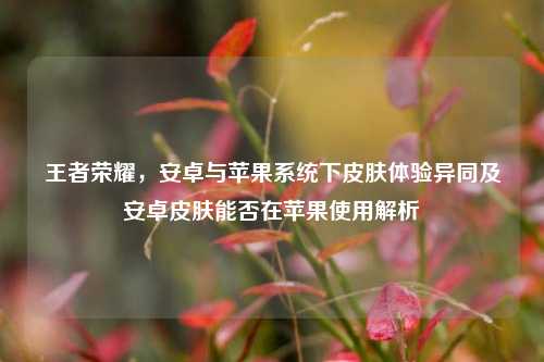 王者荣耀，安卓与苹果系统下皮肤体验异同及安卓皮肤能否在苹果使用解析