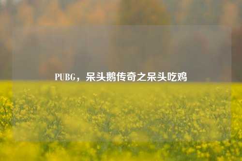 PUBG，呆头鹅传奇之呆头吃鸡