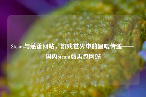 Steam与慈善网站，游戏世界中的温暖传递——国内Steam慈善包网站