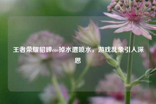 王者荣耀貂蝉cos掉水遭喷水，游戏乱象引人深思
