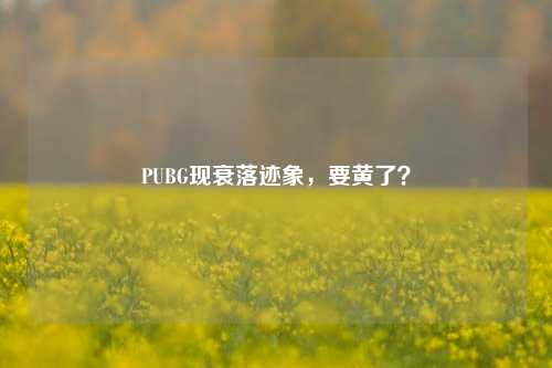 PUBG现衰落迹象，要黄了？
