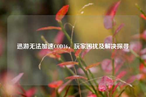 迅游无法加速COD16，玩家困扰及解决探寻