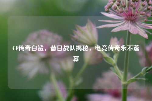 CF传奇白鲨，昔日战队揭秘，电竞传奇永不落幕