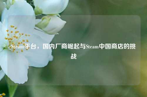 Steam平台，国内厂商崛起与Steam中国商店的挑战