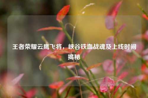 王者荣耀云鹰飞将，峡谷铁血战魂及上线时间揭秘