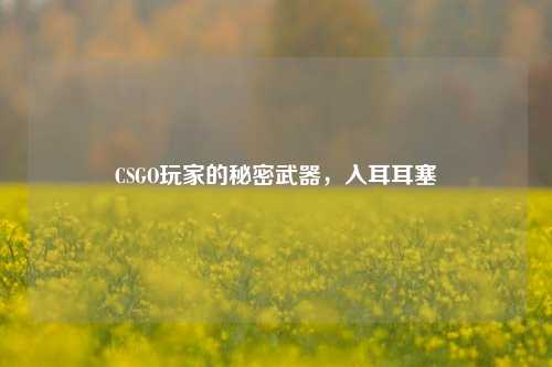 CSGO玩家的秘密武器，入耳耳塞