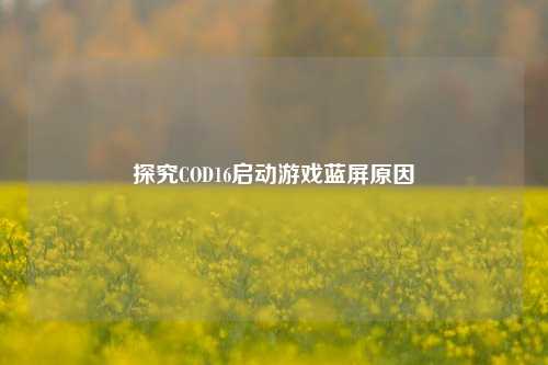 探究COD16启动游戏蓝屏原因