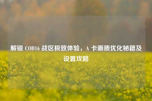 解锁 COD16 战区极致体验，A 卡画质优化秘籍及设置攻略