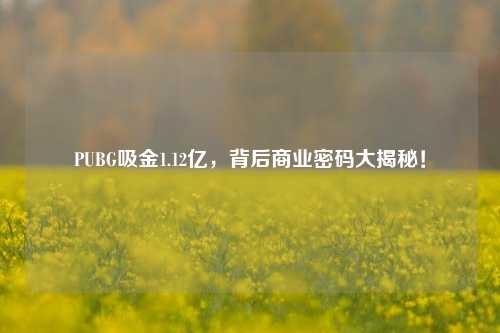 PUBG吸金1.12亿，背后商业密码大揭秘！