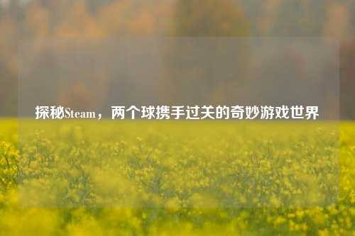 探秘Steam，两个球携手过关的奇妙游戏世界