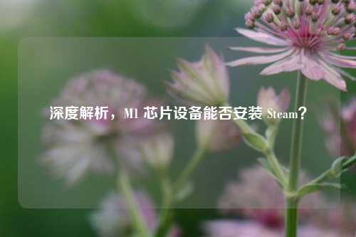 深度解析，M1 芯片设备能否安装 Steam？