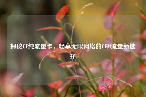 探秘CF纯流量卡，畅享无限网络的CFM流量新选择