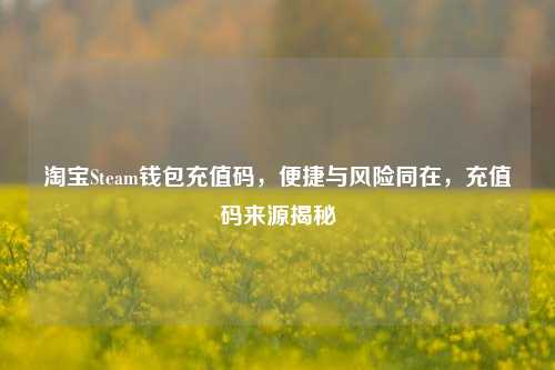 淘宝Steam钱包充值码，便捷与风险同在，充值码来源揭秘