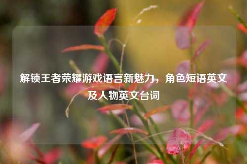 解锁王者荣耀游戏语言新魅力，角色短语英文及人物英文台词
