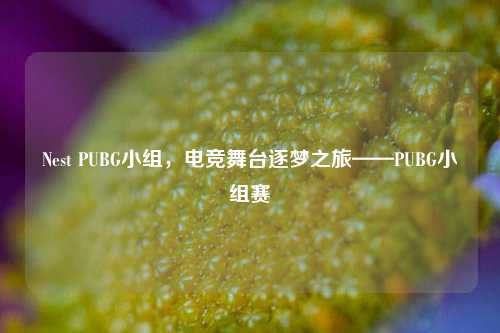 Nest PUBG小组，电竞舞台逐梦之旅——PUBG小组赛