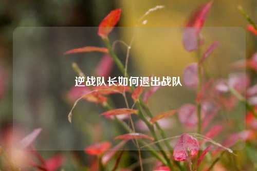 逆战队长如何退出战队