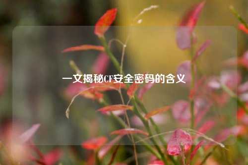 一文揭秘CF安全密码的含义