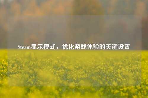 Steam显示模式，优化游戏体验的关键设置