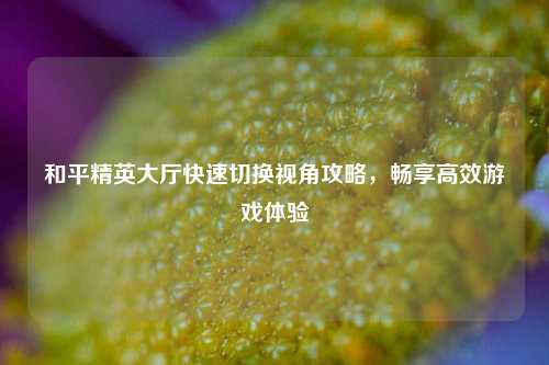 和平精英大厅快速切换视角攻略，畅享高效游戏体验