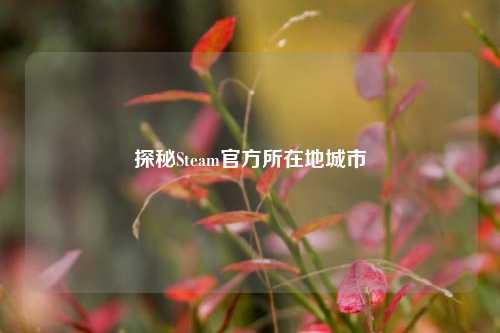 探秘Steam官方所在地城市