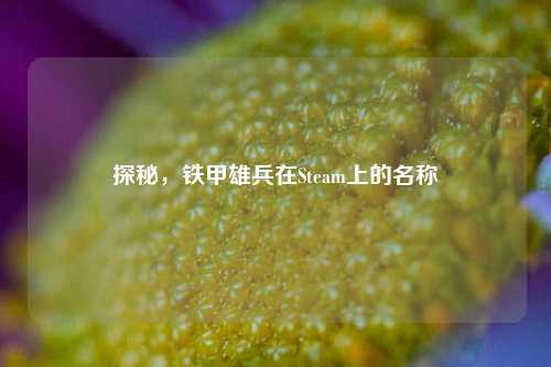探秘，铁甲雄兵在Steam上的名称