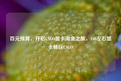 百元预算，开启CSGO显卡淘金之旅，100左右显卡畅玩CSGO