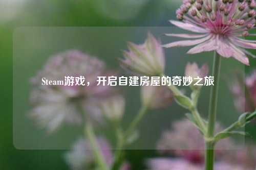 Steam游戏，开启自建房屋的奇妙之旅