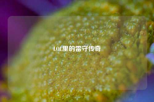 LOL里的雷守传奇
