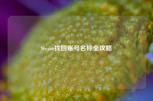 Steam找回账号名称全攻略