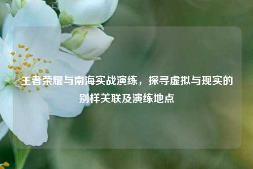 王者荣耀与南海实战演练，探寻虚拟与现实的别样关联及演练地点