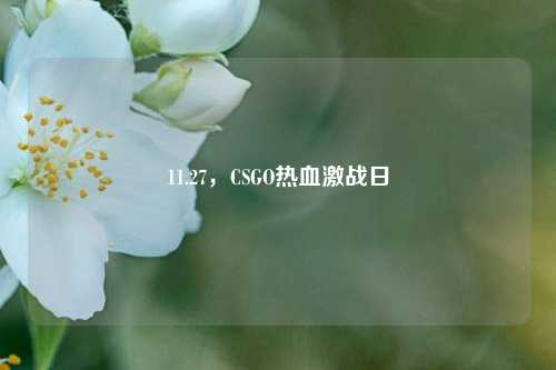 11.27，CSGO热血激战日