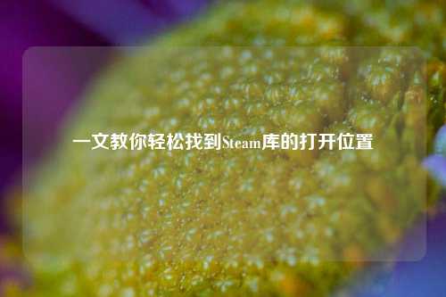 一文教你轻松找到Steam库的打开位置