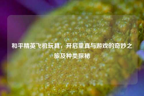 和平精英飞机玩具，开启童真与游戏的奇妙之旅及种类探秘