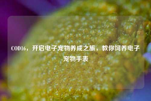COD16，开启电子宠物养成之旅，教你饲养电子宠物手表