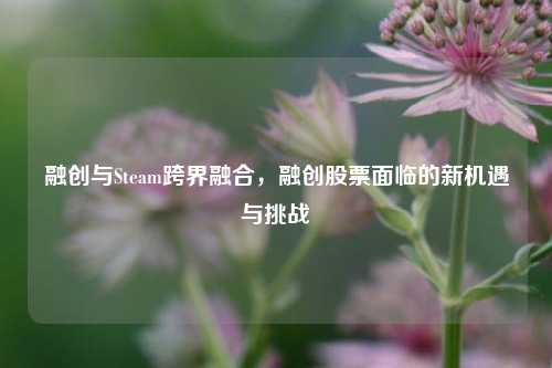 融创与Steam跨界融合，融创股票面临的新机遇与挑战