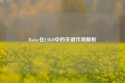 Radar在CSGO中的关键作用解析