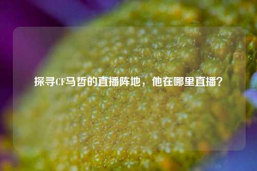 探寻CF马哲的直播阵地，他在哪里直播？