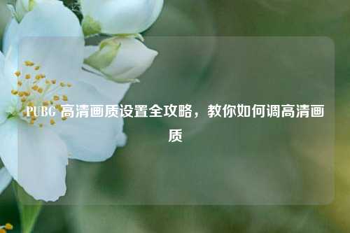PUBG 高清画质设置全攻略，教你如何调高清画质
