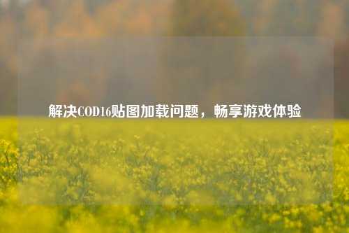 解决COD16贴图加载问题，畅享游戏体验