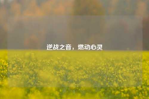 逆战之音，燃动心灵