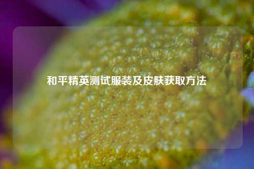 和平精英测试服装及皮肤获取方法