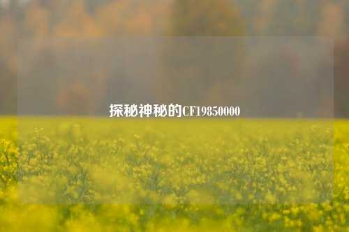 探秘神秘的CF19850000