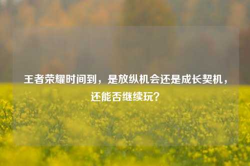 王者荣耀时间到，是放纵机会还是成长契机，还能否继续玩？