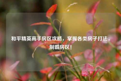 和平精英高手房区攻略，掌握各类房子打法，制霸房区！