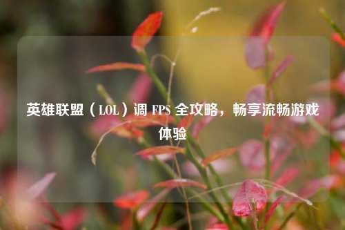 英雄联盟（LOL）调 FPS 全攻略，畅享流畅游戏体验