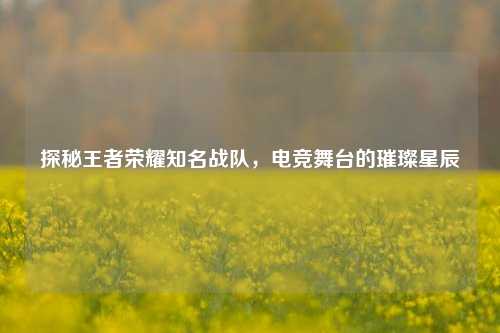探秘王者荣耀知名战队，电竞舞台的璀璨星辰